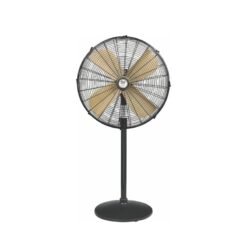 Pedestal Fan